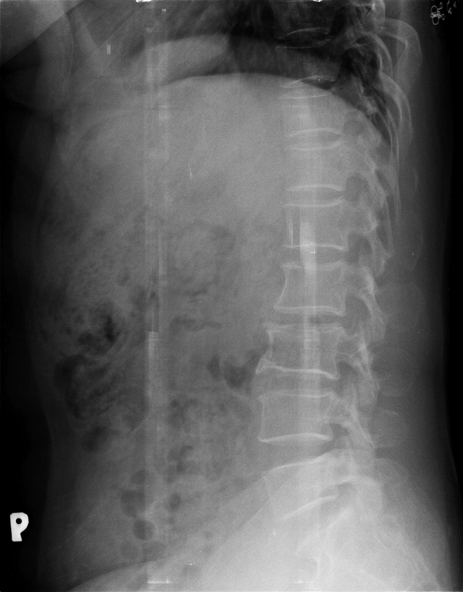 Ảnh 1