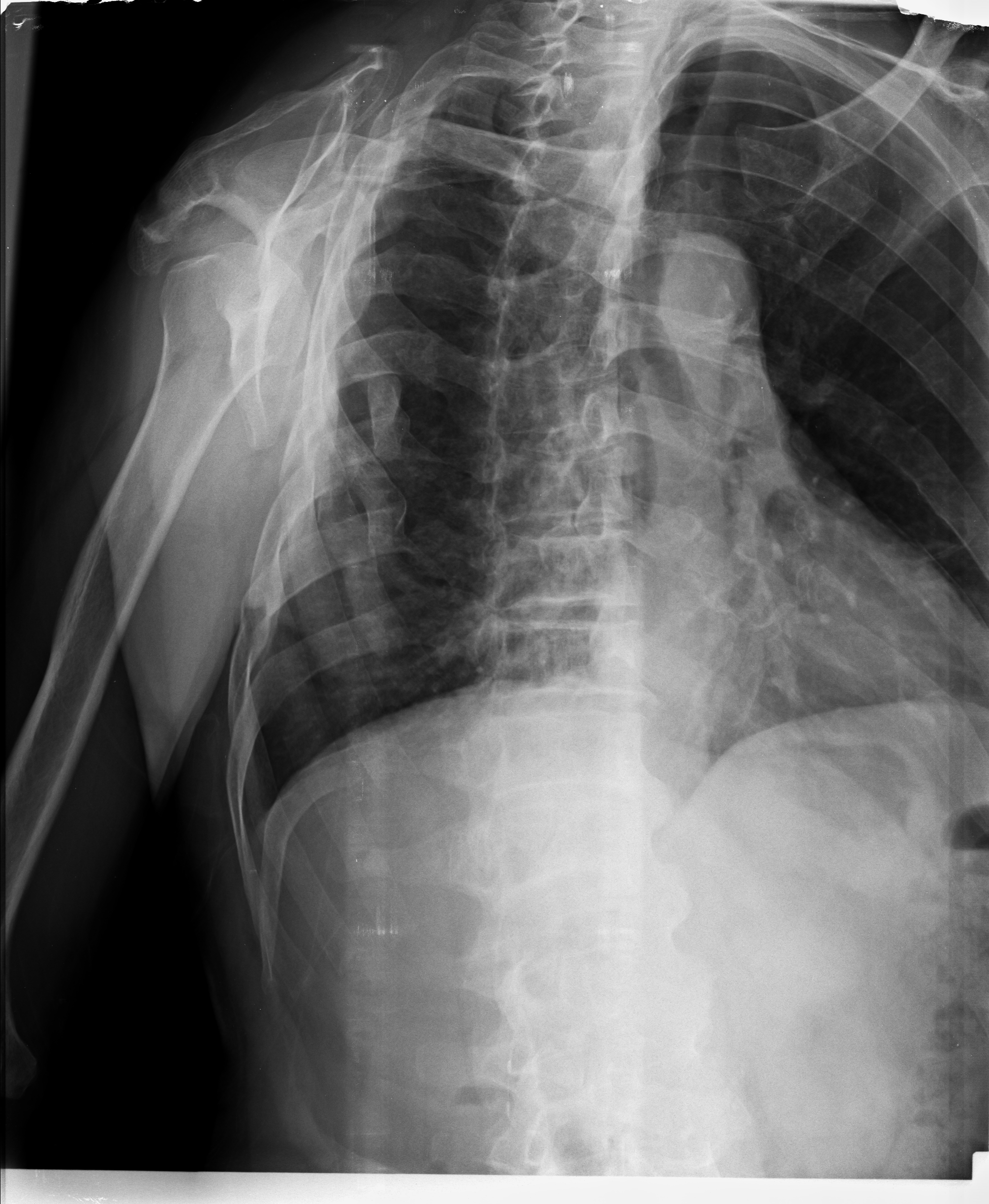 Ảnh 1