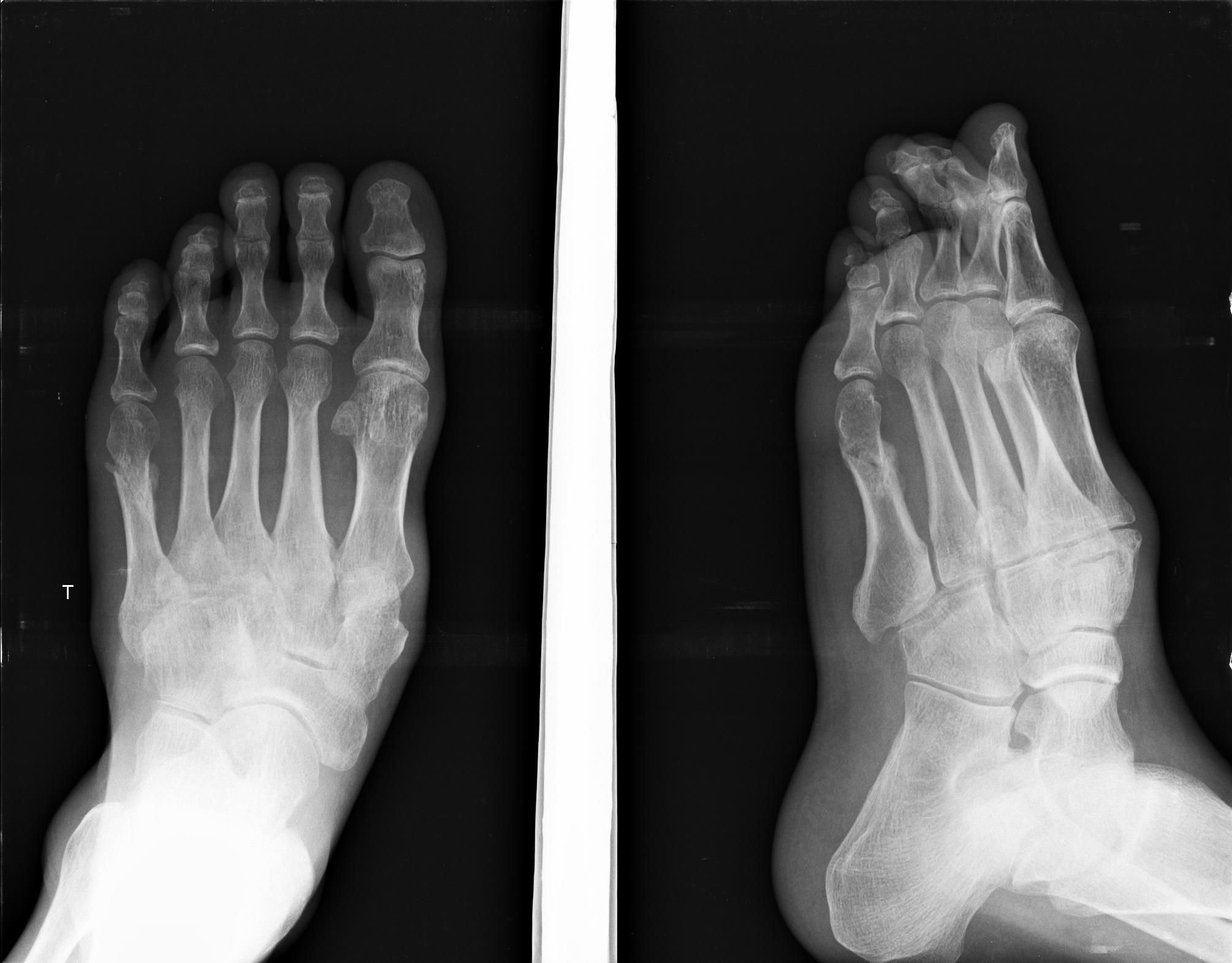 Ảnh 1