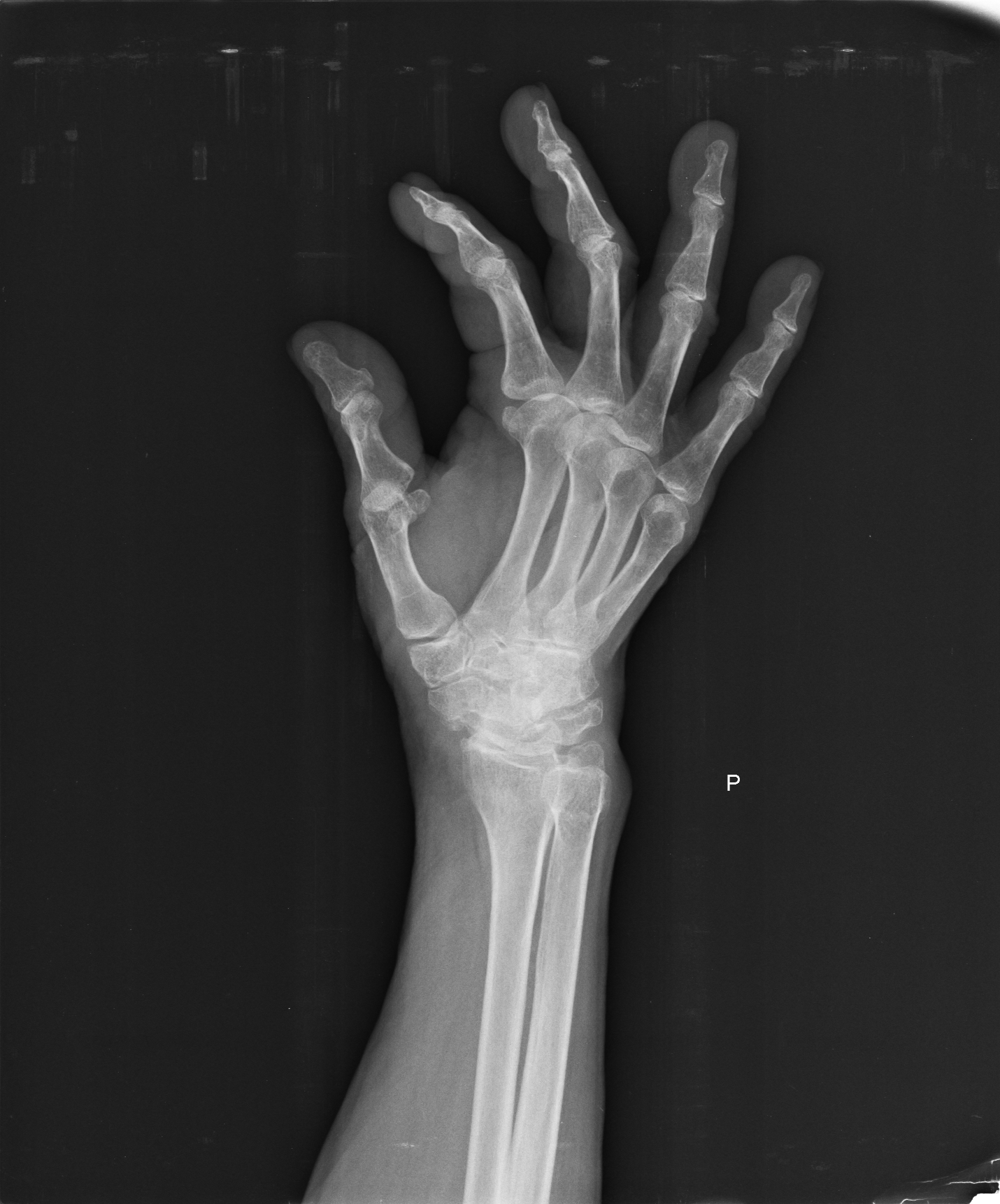 Ảnh 1