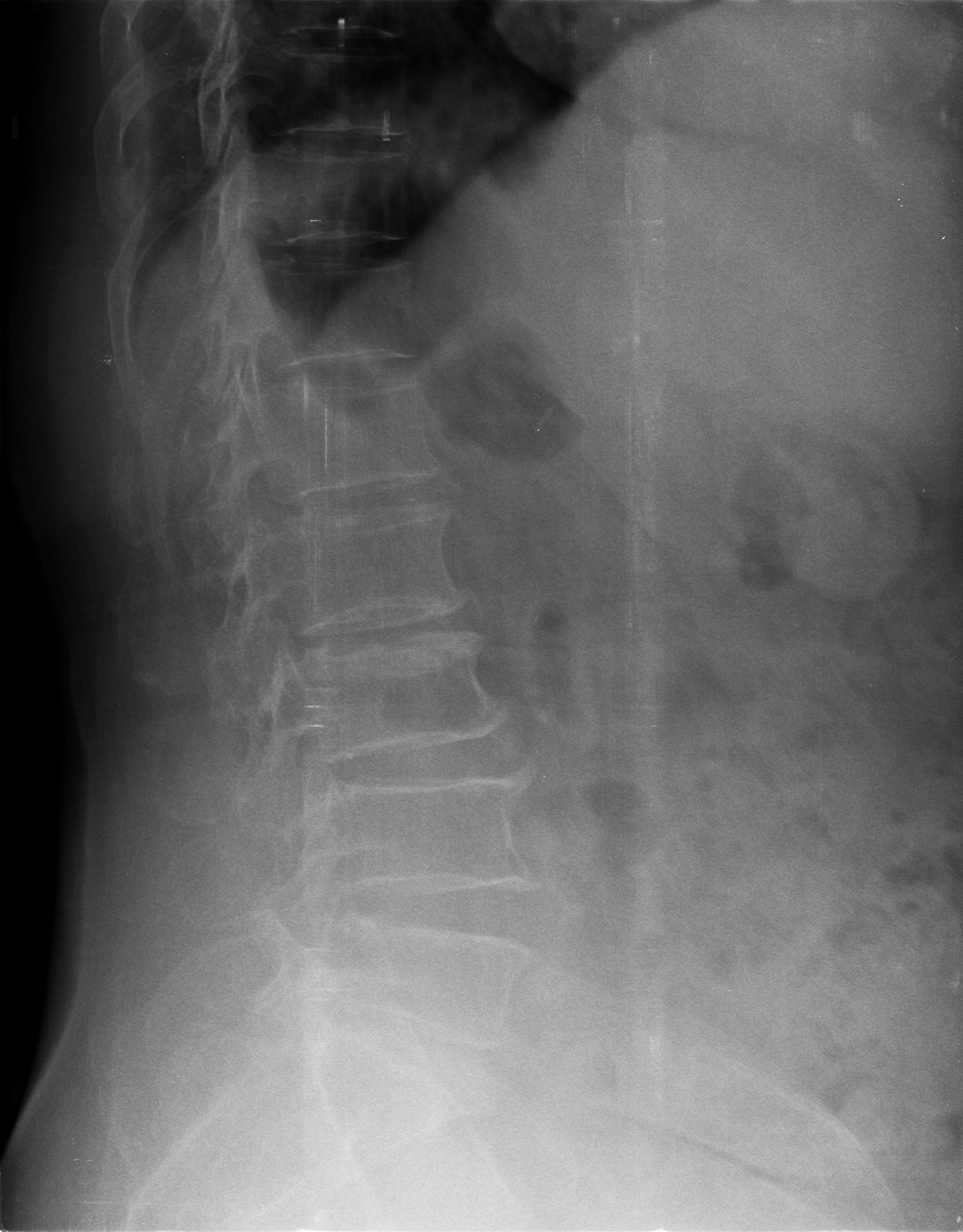 Ảnh 1