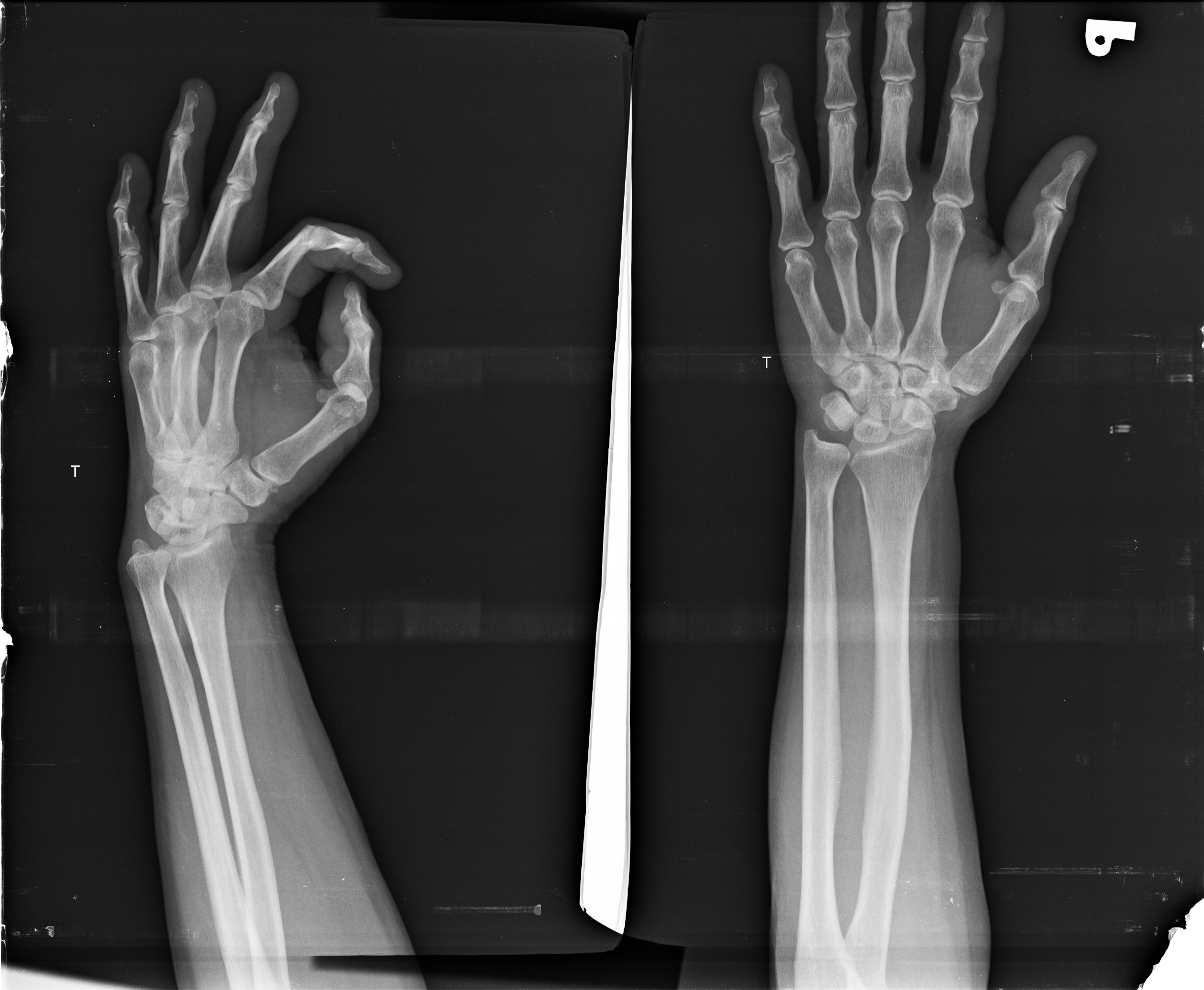 Ảnh 1