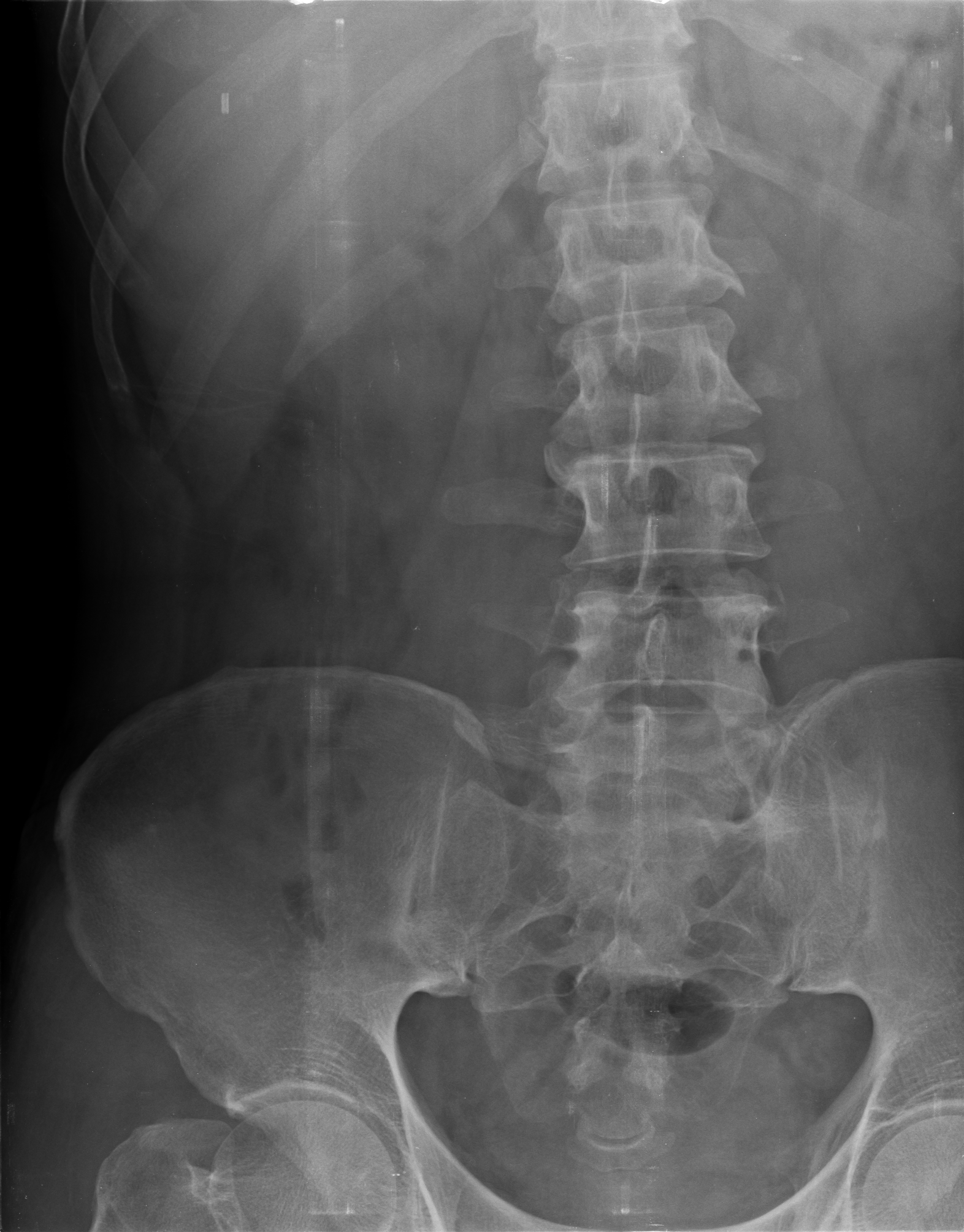 Ảnh 1