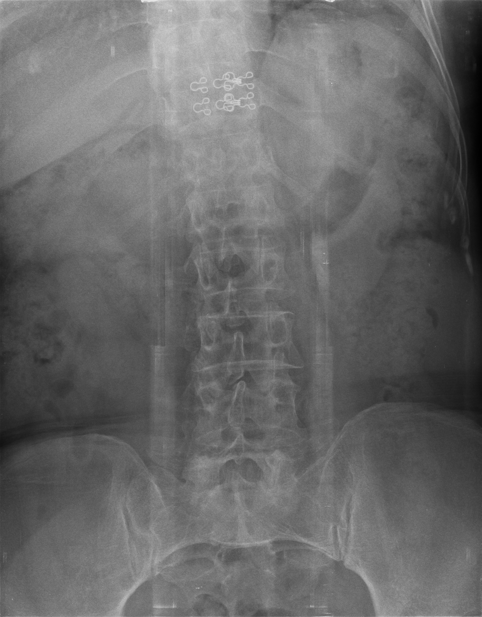 Ảnh 1