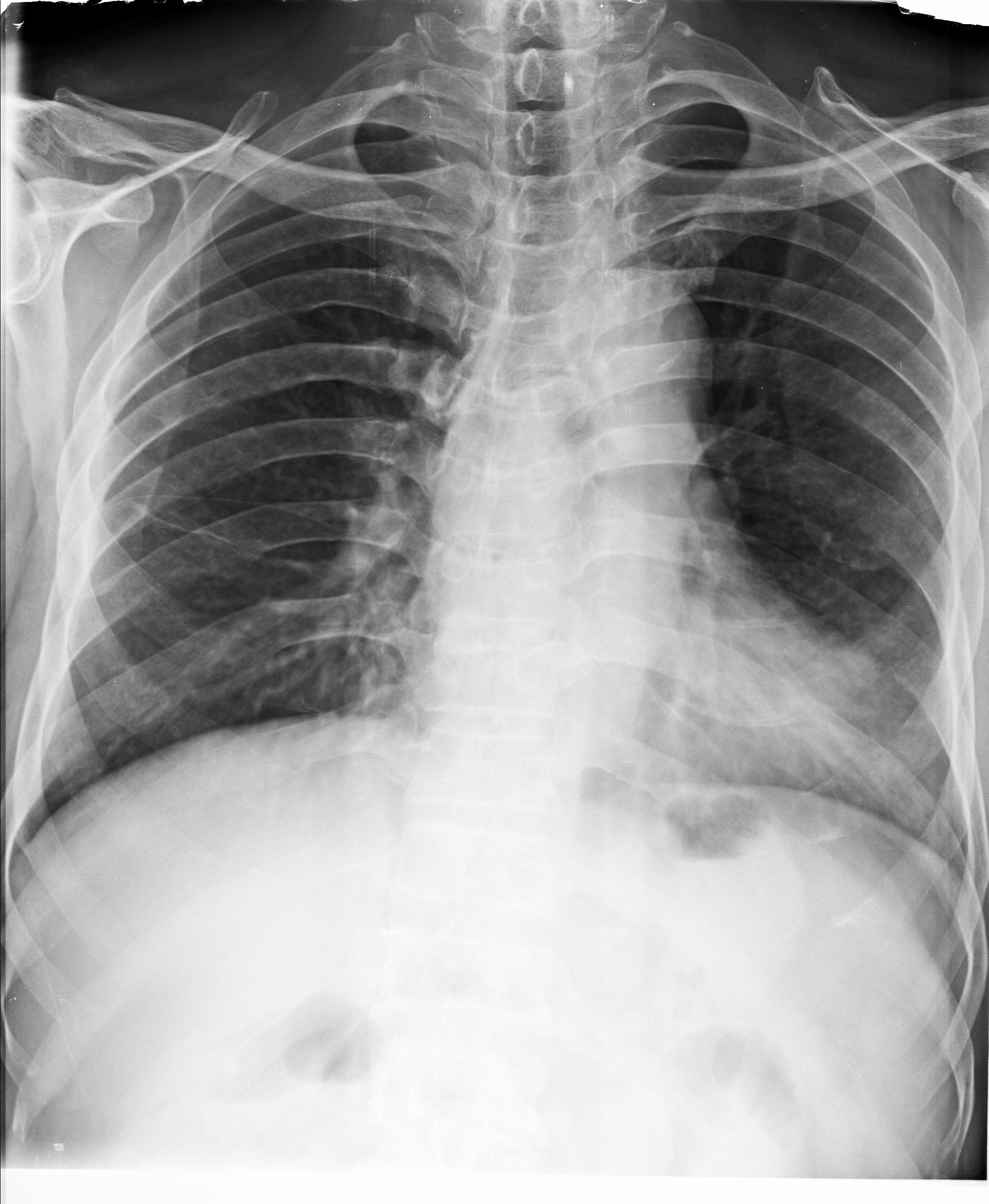 Ảnh 1