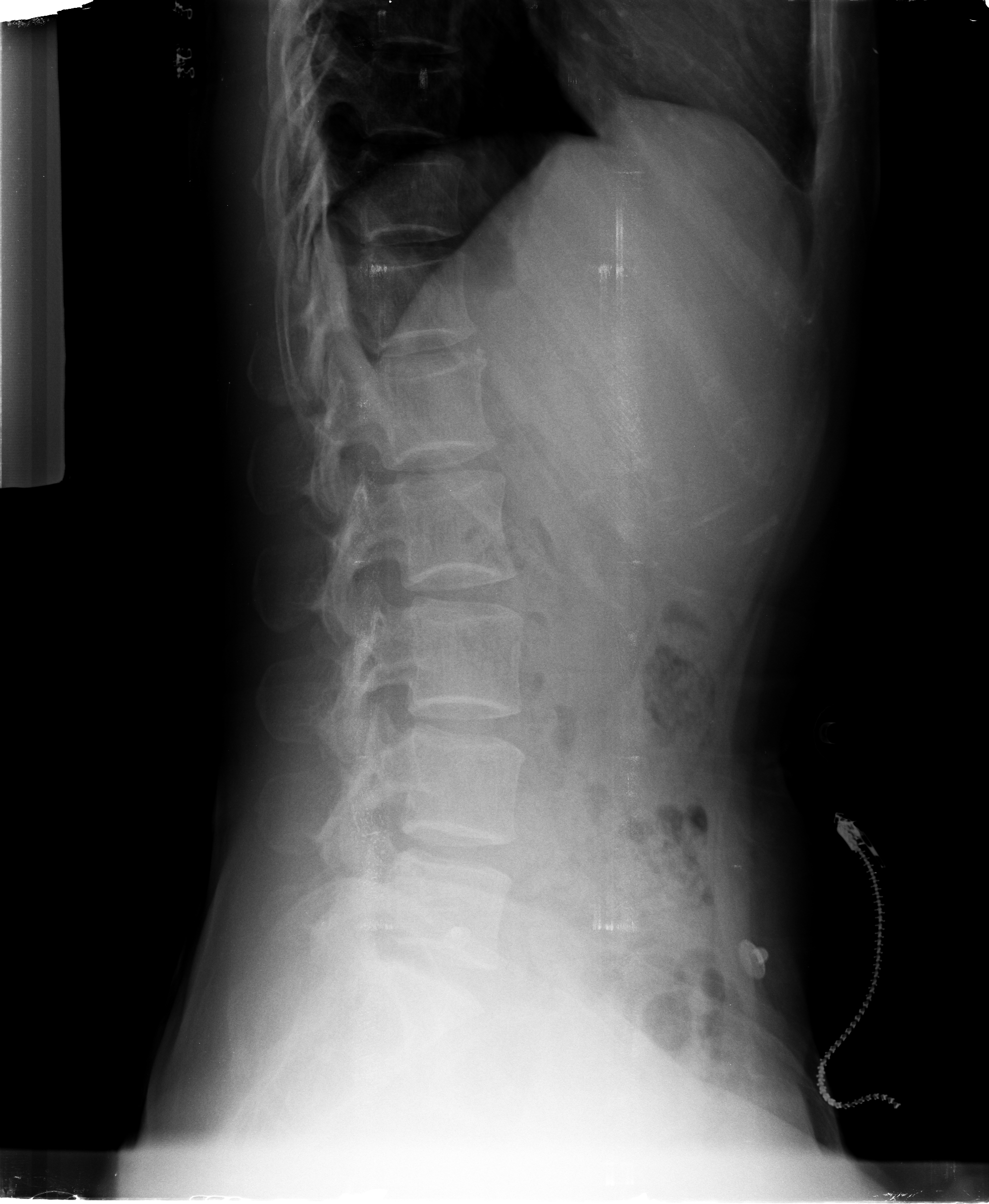 Ảnh 1