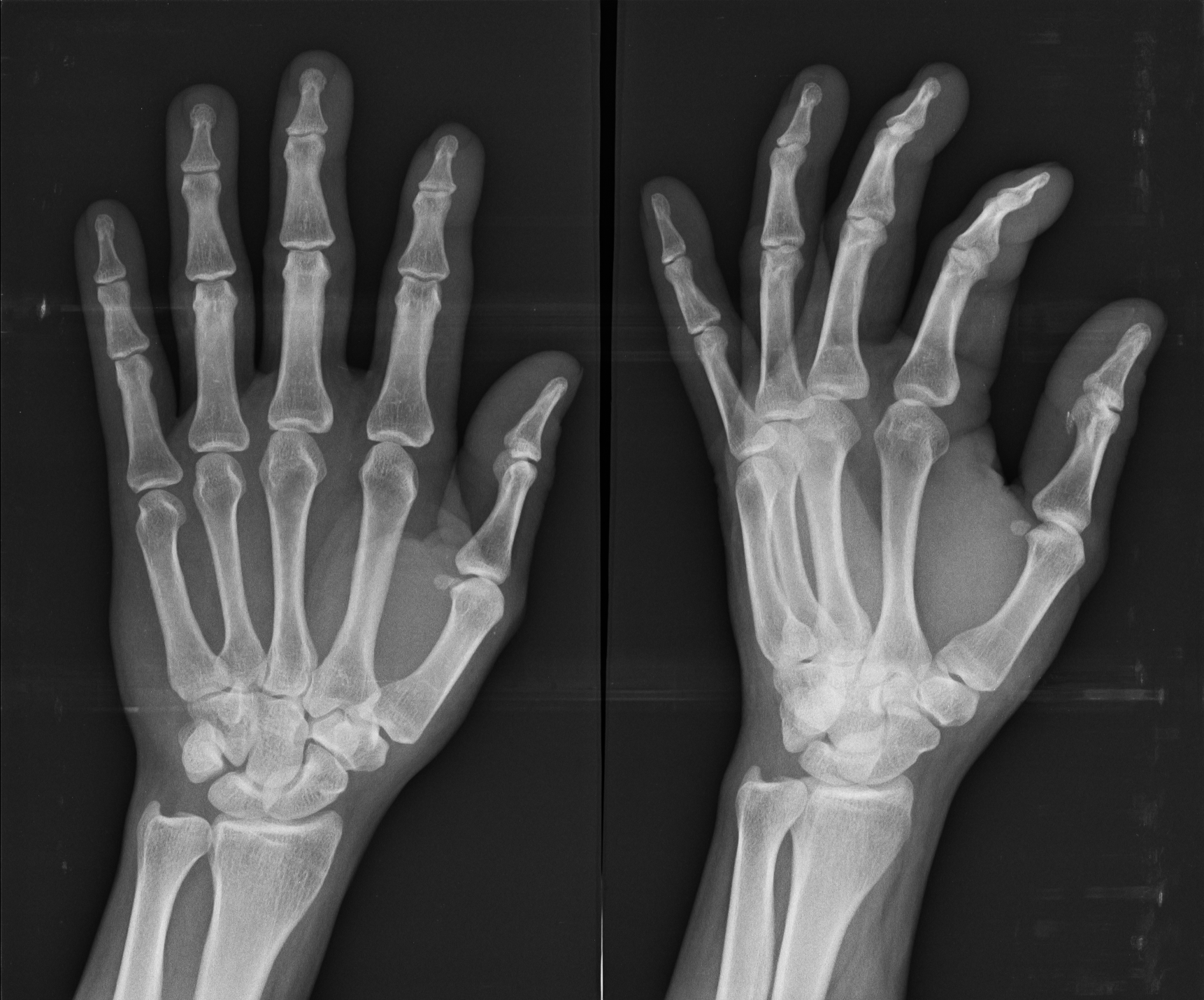 Ảnh 1
