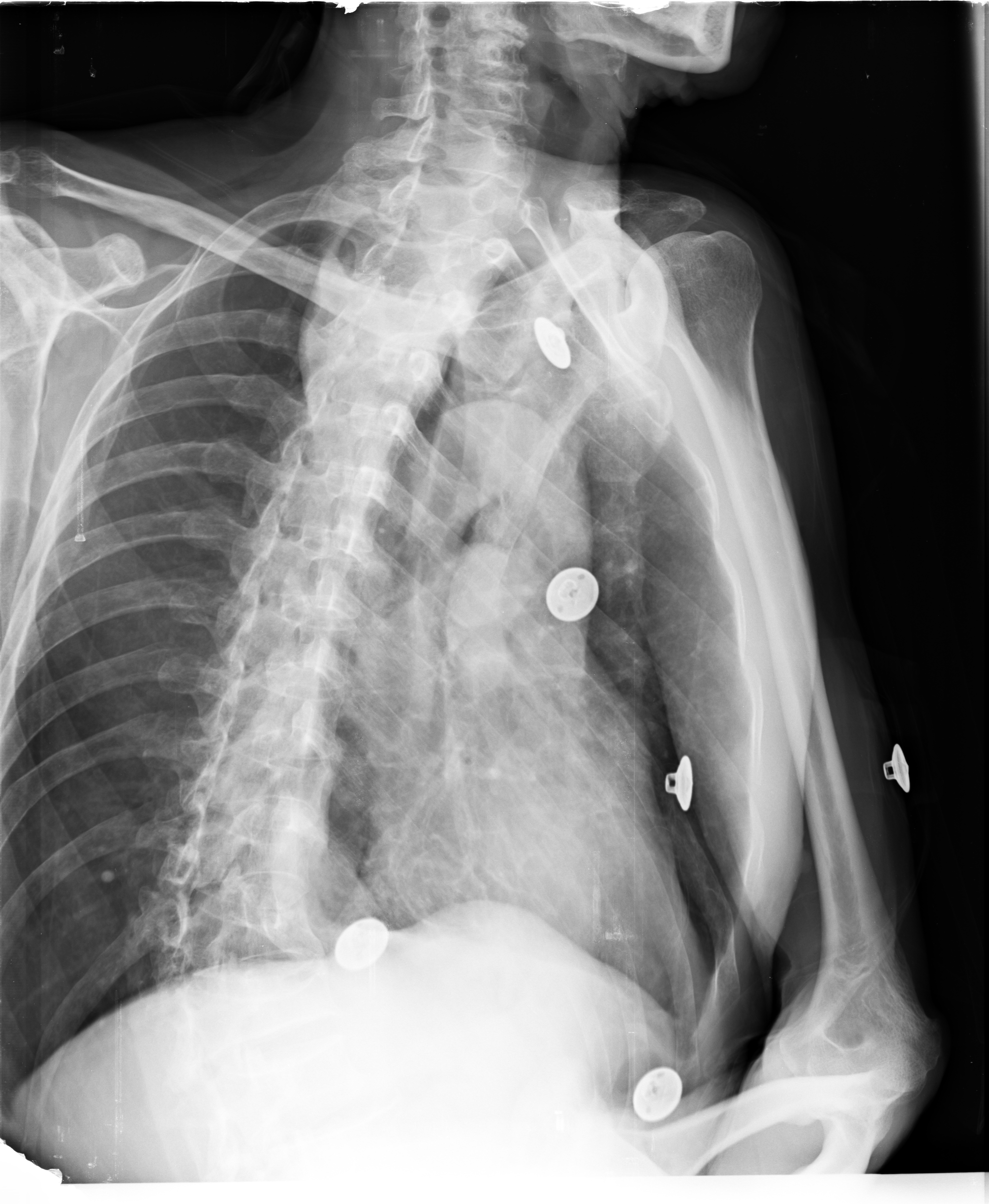 Ảnh 1