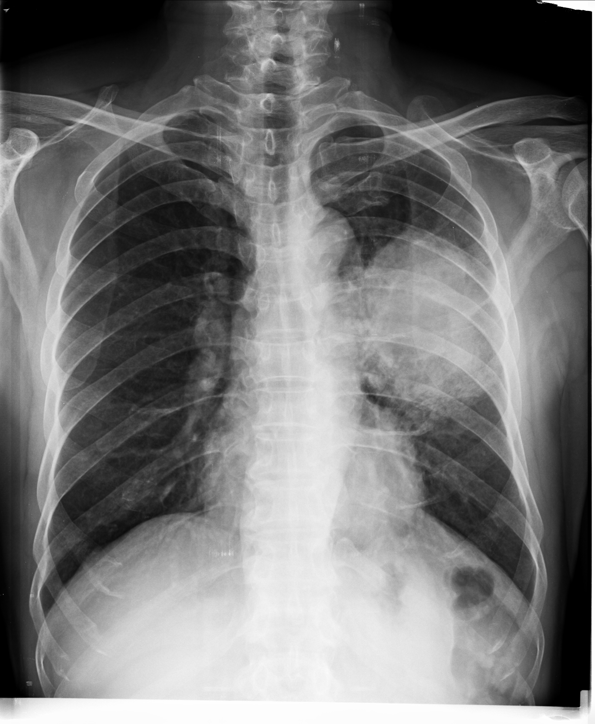 Ảnh 1